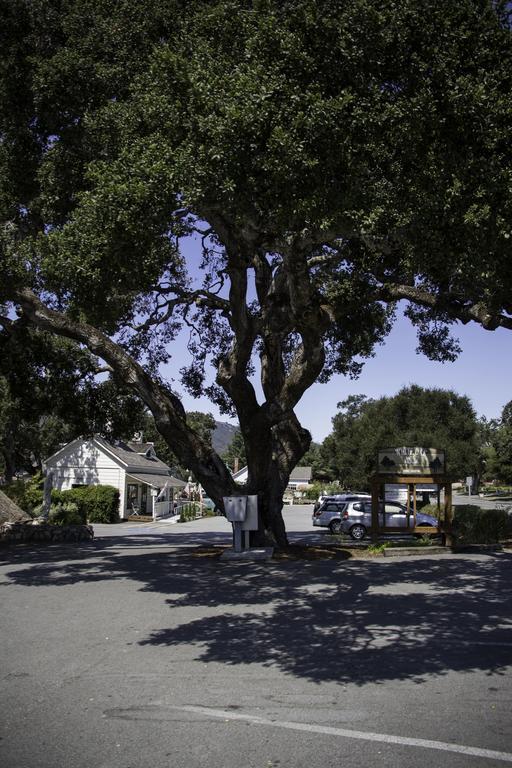 The Blue Sky Lodge Carmel Valley Exterior photo